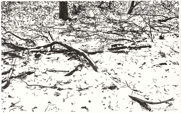 Whispering snow (winter landscape ink drawing)
