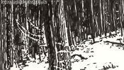 Winter embraces the sleeping forest (Detail 1)