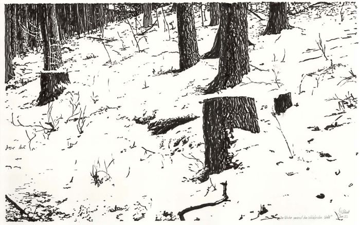 Winter embraces the sleeping forest