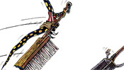 Witch fire with fire salamander pattern on hand sweeps