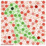 : Dinosaur - visual test