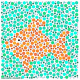 : Fish Colors