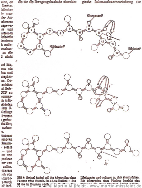 Drawing 11-cis-retinal