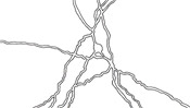 Lines