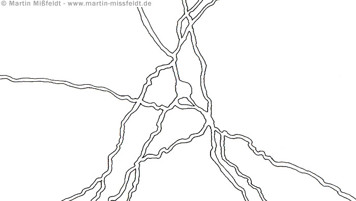 Lines