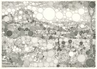 : Faded early summer (after Bruegels Hay Harvest )