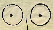 Eyes