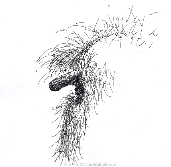 Ruebezahl his beard