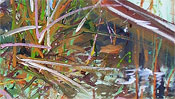 Grass Painting