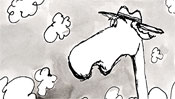 Camel with a hat