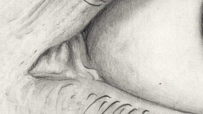 Drawing of an eye (2) (Detail 1)