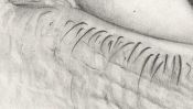 Drawing of an eye (2) (Detail 2)