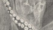 Drawing of an octopus (Detail 2)