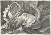 : Drawing of an octopus