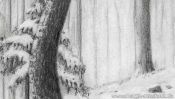 Drawing winter landscape forest (Detail 3)