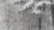 Drawing winter landscape forest (Detail 4)