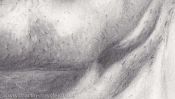 Goethe private - Portrait Drawing (Detail 4)