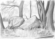 : Hill grave pencil drawing