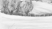 Landscape pencil drawing (Detail 4)