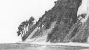 Pencil drawing: Chalk cliffs on the coast of Ruegen (Detail 1)