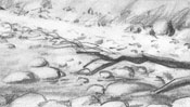 Pencil drawing: Chalk cliffs on the coast of Ruegen (Detail 2)