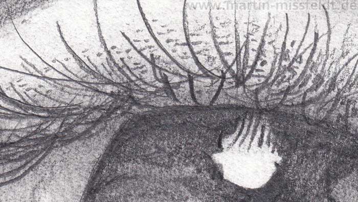 Pencil Drawing Realistic Eye (Detail 1)