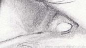 Pencil Drawing Realistic Eye (Detail 2)