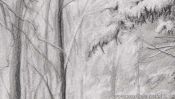 Pencil drawing snow landscape: snowy forest (Detail 4)