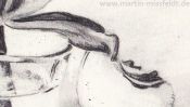 Pencil drawing of a Tulip (Detail 4)
