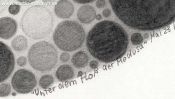 Under the raft of the Medusa (pencil drawing) (Detail 5)