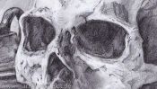 Vanitas Still Life (pencil drawing) (Detail 1)