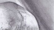 Vanitas Still Life (pencil drawing) (Detail 4)