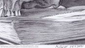 Vanitas Still Life (pencil drawing) (Detail 5)