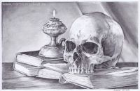 : Vanitas Still Life (pencil drawing)