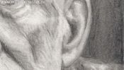 View back to front (pencil drawing) (Detail 4)