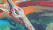 Head