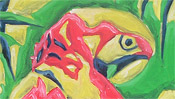 Parrot head