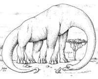 : Dino with 5 legs (optical illusion)