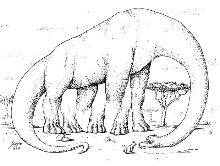 Dino with 5 legs (optical illusion)