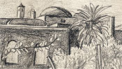 Campo Agosto, island Capri (Detail 1)
