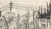 Campo Agosto, island Capri (Detail 2)