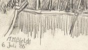 Campo Agosto, island Capri (Detail 3)