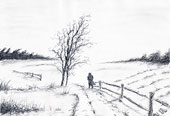 : Winter landscape
