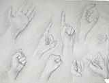 : Study of hands