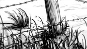 Grass