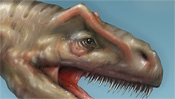 Allosaurus - photoshop retouch (Detail 1)