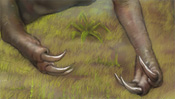 Allosaurus - photoshop retouch (Detail 2)