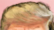 Donald Trump Speedpainting - Detail 2