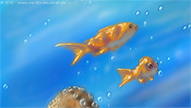 Golden fishes swimming in the sea