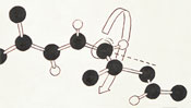 Rotation of the molecule
